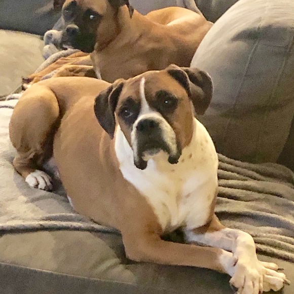 Meet your Posher, Terra - Picture 3 of 3